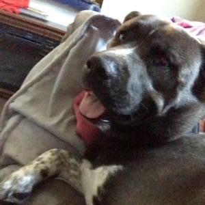 Meet your Posher, Ariel